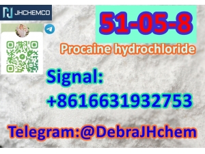 CAS 51-05-8 Procaine HydrochlorideSignal:+8616631932753